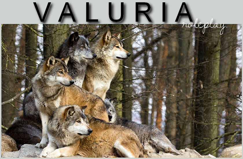 V A L U R I A.* - Vallery of secret